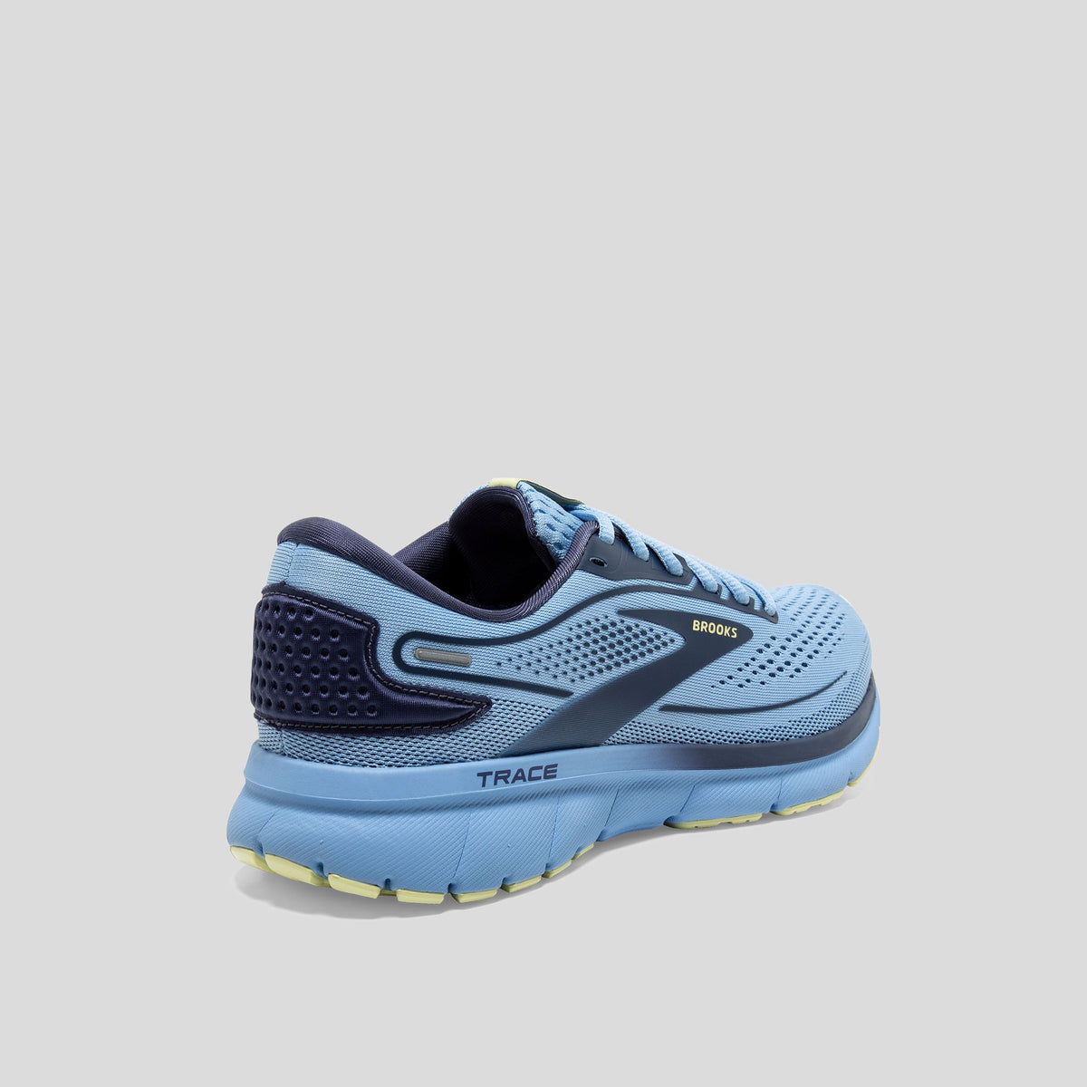 BROOKS_TRACE2_484_2